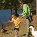 Eine Frau und ein kleiner Junge füttern Enten und Schwäne. Die Frau trägt den Spirit 300.
